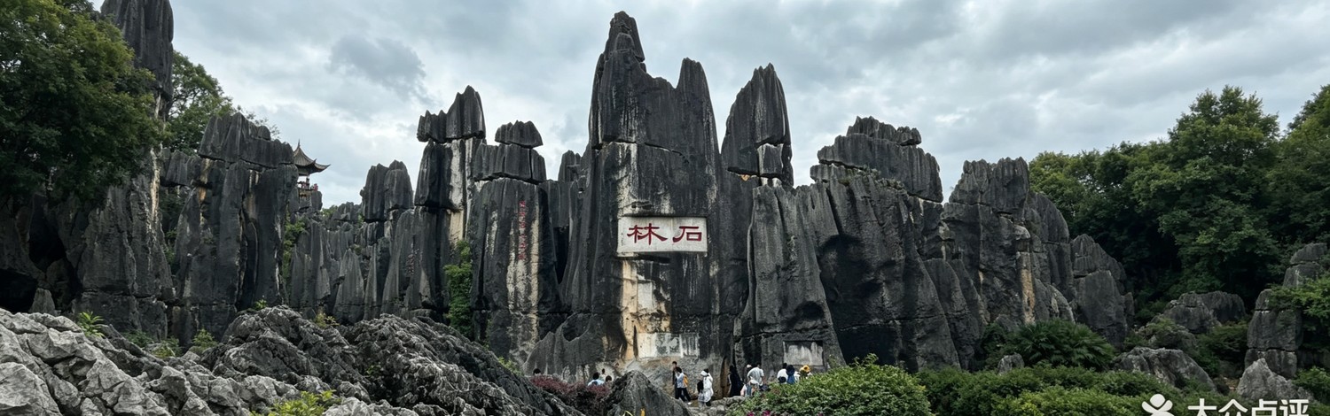 Kunming → Dali | Stone Forest → High-Speed Rail to Dali