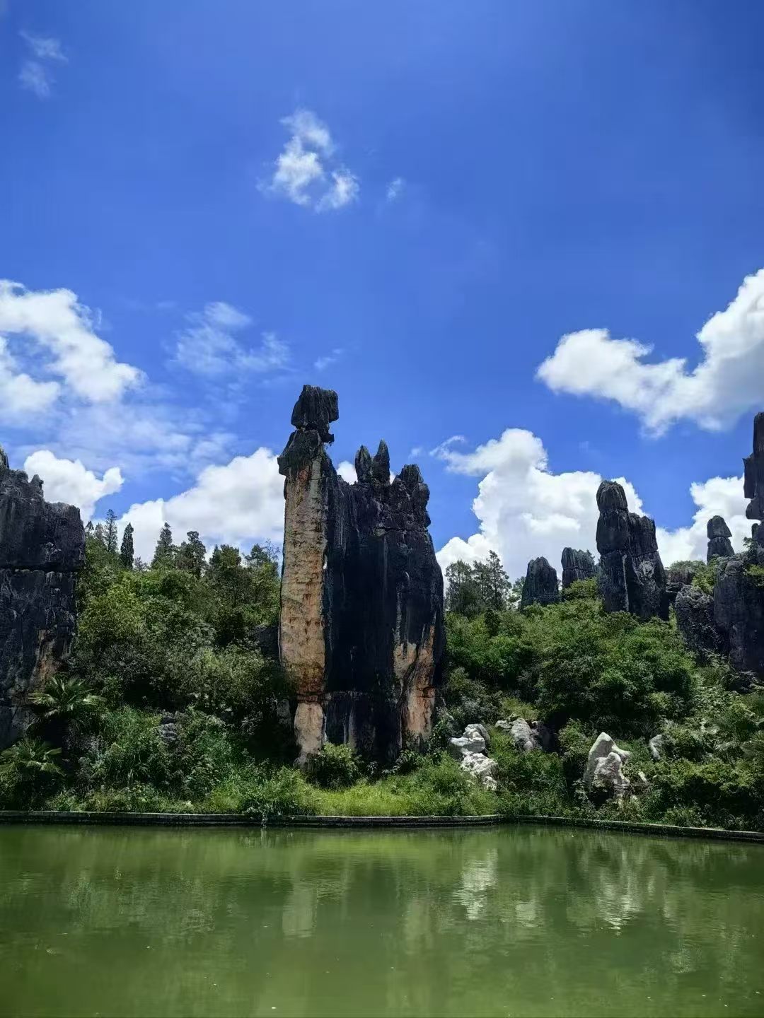 Kunming → Dali | Stone Forest → High-Speed Rail to Dali