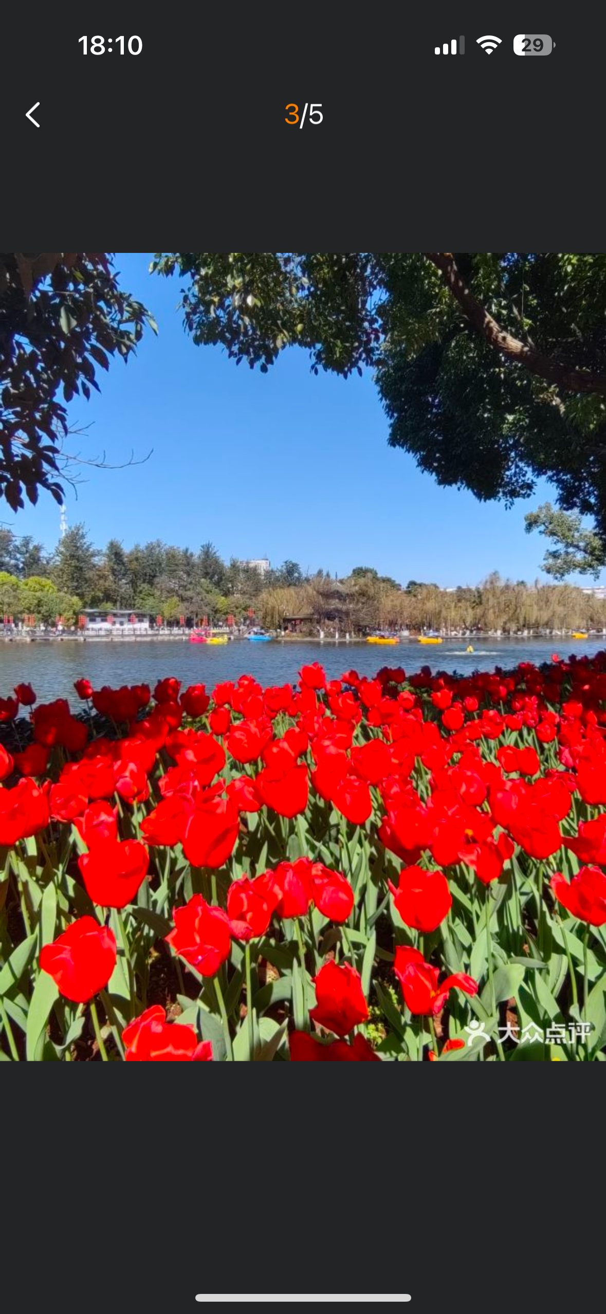 Kunming | Stone Forest → Green Lake Park → Dynamic Yunnan