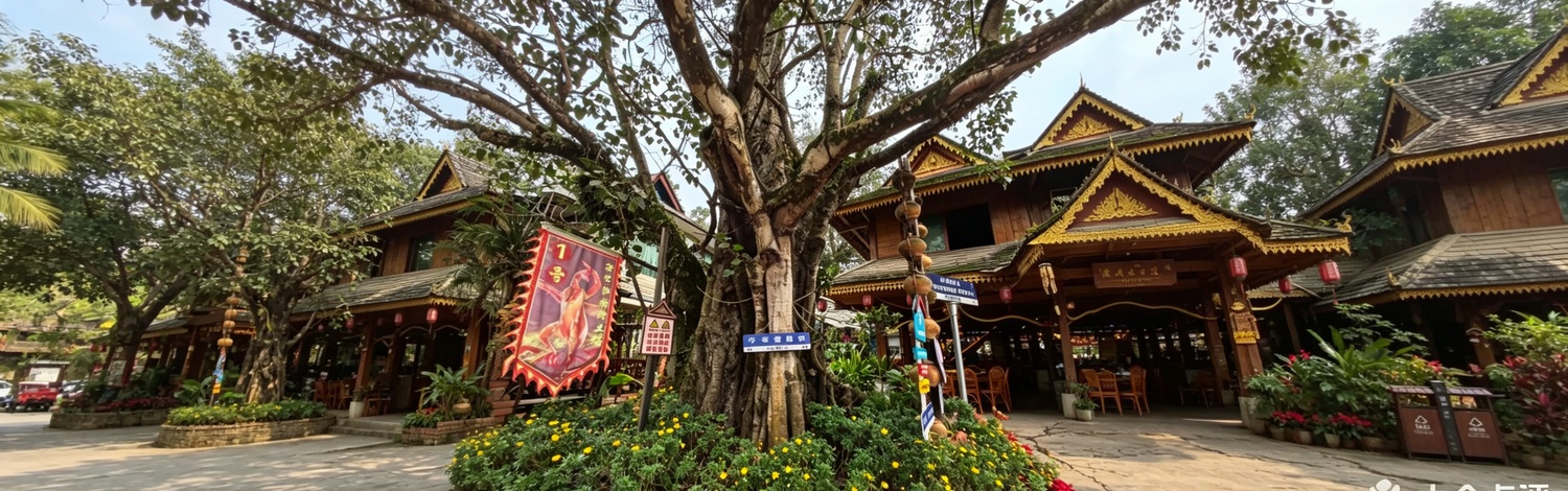 Xishuangbanna → Pu'er | Botanical Garden → Manzhang Village → Wild Elephant Valley
