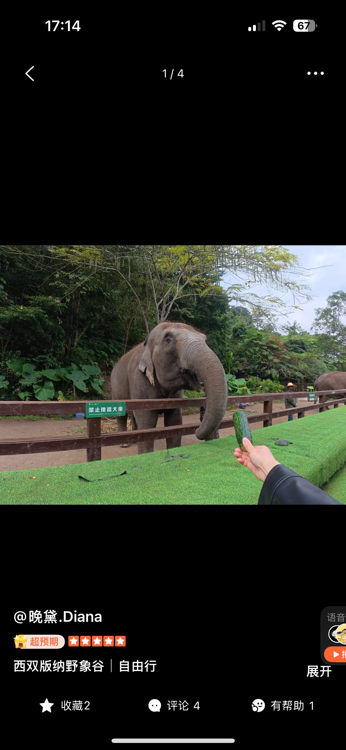 Xishuangbanna → Pu'er | Botanical Garden → Manzhang Village → Wild Elephant Valley