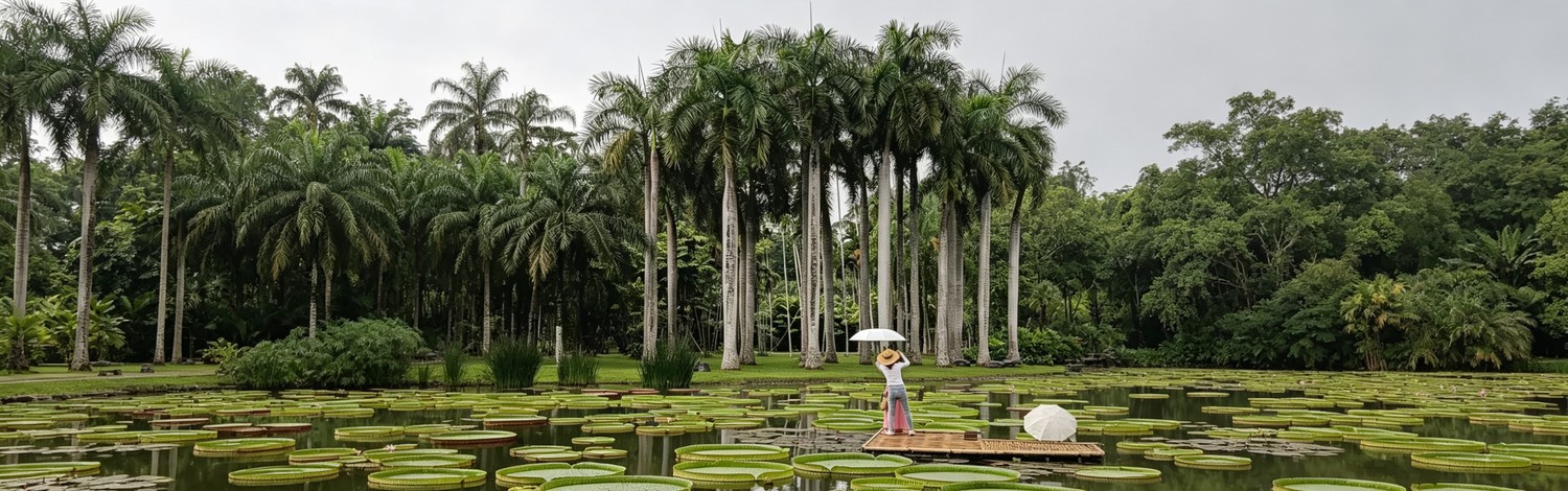 Night Tour of the Botanical Garden