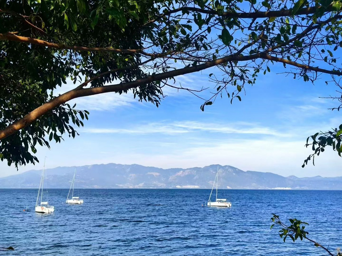 Fuxian Lake → Kunming | Fossil Museum → Luchong Scenic Area