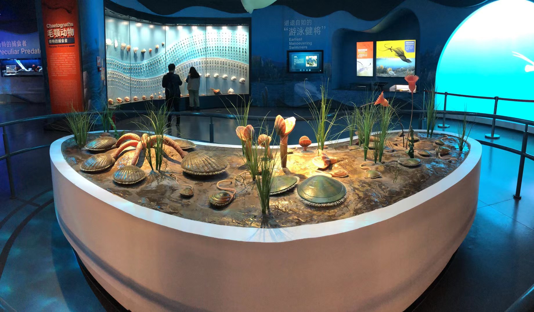Fuxian Lake → Kunming | Fossil Museum → Luchong Scenic Area
